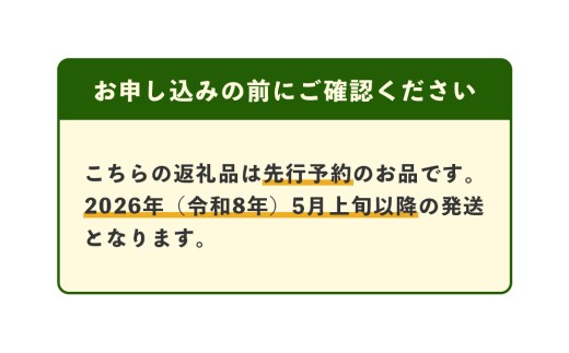 【2025年4月中旬発送開始】熊本県産 ホームランメロン 2玉 約2.5kg以上