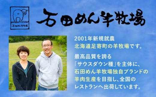 羊肉 羊 パキスタン料理 スパイス カレー レトルト 北海道 ストリートフード