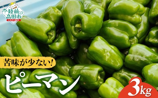 苦みの少ない獲れたて新鮮ピーマン 約3kg 【 産地直送 料理 野菜 岩手県 陸前高田市 Farm Koganeyama 】 RT2749