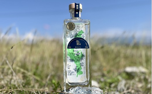 のとジン 氣 500ml 1558298 - 石川県石川県庁