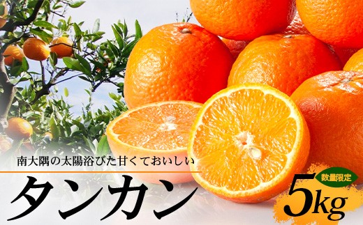 【先行予約・数量限定】南大隅の太陽浴びた甘くて・おいしい タンカン 5kg【2026年2月中旬以降順次発送】｜たんかん タンカン 柑橘 甘い 果物 新鮮 産地 直送 先行予約 おすすめ 人気 南大隅町(AL7506) 837017 - 鹿児島県南大隅町