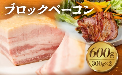 ブロックベーコン 600g ジューシー 国産 10000円 大容量 訳あり おかず 毎日の食卓に 朝食 お弁当 晩酌 おつまみ サラダ クリスマス・年末年始のオードブルに ジブリ飯 2194268 - 愛知県豊橋市