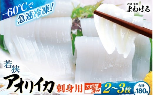 【先行予約】≪-60℃で急速冷凍≫若狭アオリイカ 刺身用2～3枚（合計180g）【2025年11月中旬以降順次発送予定】下処理済みだからシンクも汚れず大好評！ [m17-a073]