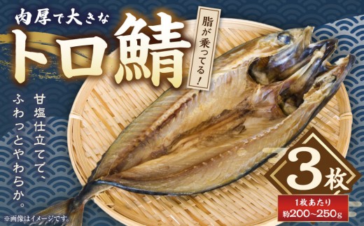 肉厚で大きなトロ鯖　3枚（約２００～２５０ｇ×３枚）脂がのってます！
