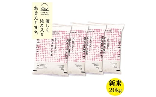 秋田県産 予約受付開始!あきたこまち＜令和7年産＞無洗米20kg(5kg×4)《10月中旬より発送》【1519359】