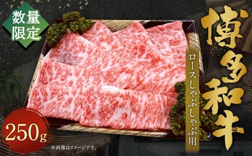 [数量限定博多和牛] ロース しゃぶしゃぶ 約250g 博多和牛 和牛 国産牛 黒毛和牛 黒毛和種 牛肉 ロース肉 リブロース サーロイン お肉 肉 九州 福岡県 香春町 冷凍