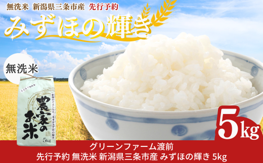 先行予約 新潟県三条市産 みずほの輝き 無洗米 5kg [グリーンファーム渡前] 令和7年産 2025年産 みずほのかがやき 令和7年度 【015S180】
