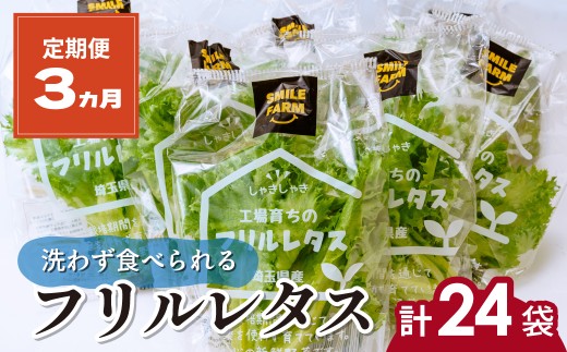 [定期便3ヵ月] [洗わず食べられる・室内水耕栽培] フリルレタス 8袋(80〜110g/袋)×3ヵ月 計24袋 | レタス 野菜 大容量 新鮮レタス オーガニック野菜 無農薬 野菜直送 フレッシュ サラダ用野菜 健康志向 こだわり フレッシュ 産地直送 食品ギフト セット 緑黄色野菜 新鮮 安心野菜 旬 低カロリー レタスボウル カロテン 定期便 スマイル農場 埼玉県 東松山市