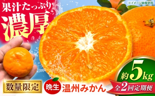【先行予約】【全2回定期便】 数量限定 晩生 温州みかん 約5kg みかん 【池田農園】 [ZEX008]