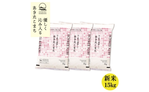 秋田県産 予約受付開始!あきたこまち＜令和7年産＞無洗米15kg(5kg×3)《10月中旬より発送》【1519315】