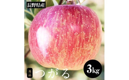 長野県産 早生 りんご サンつがる 約3kg 秀品 〈2025年9月上旬～9月中旬発送〉| 果物 くだもの フルーツ りんご リンゴ 林檎 つがる 長野県 信州 南信州 飯田市 959101 - 長野県飯田市