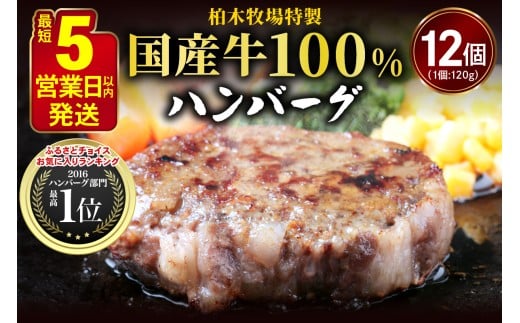[ジュワッと肉汁まで美味い！] 柏木牧場特製 国産牛100%ハンバーグ (120g×12個)｜伊勢原市 牛肉 特製 ギフト 神奈川県 贈り物 人気 お土産 正月 肉の日 バーベキュー パーティ 冷凍便 惣菜 肉 焼くだけ 牛肉100％ 国産 ハンバーグ 冷凍 グルメ お惣菜 [0067]