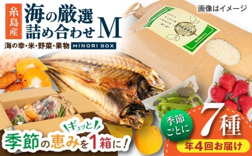 【全4回定期便】 糸島産 魚 米 野菜 果物 厳選詰め合わせ MINORI BOX Mサイズ【季節ごとに年4回お届け】 糸島市 / emma.Inc / 米 魚 野菜 果物 詰め合わせ [AOP005]