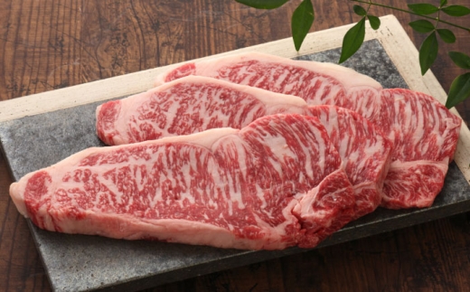 [数量限定][GI認証]くまもとあか牛サーロインステーキ 約200g×3枚 / 菊陽町 あかうし 熊本県 肉 にく niku ブランド 旨み[有限会社 三協畜産] [BHAS012]