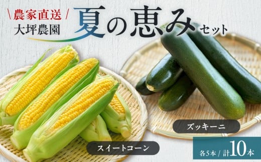 夏の恵みセット　北海道東川町産　スイートコーン＆ズッキーニセット
