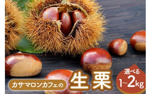 [2025年 秋 出荷]生栗 選べる内容量 1kg×1〜2袋 1kg〜2kg 特大 サイズ 3L 以上 大粒 大きい 数量限定くり クリ 笠間の栗 栗ごはん カサマロン 国産 先行予約 モンブラン 栗きんとん 冷蔵 笠間市