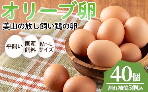 No.780 鹿児島県産美山オリーブ卵(40個) 割れ保証付 国産 九州産 鹿児島県産 たまご タマゴ オリーブ 卵 鶏卵 生卵 おかず TKG 卵かけご飯 朝食 数量限定【美山たまご王国】【779】