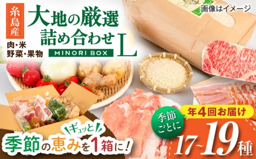 【全4回定期便】糸島産 肉 米 野菜 果物 厳選詰め合わせ MINORI BOX Lサイズ【季節ごとに年4回お届け】 糸島市 / emma.Inc / 米 肉 野菜 果物 詰め合わせ [AOP003]