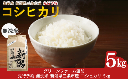 先行予約 新潟県三条市産 コシヒカリ 無洗米 5kg [グリーンファーム渡前] 令和7年産 2025年産 こしひかり 令和7年度 【017S142】