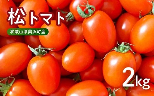美浜町産　松トマト（アイコ）2Kg ｜ミニトマト とまと 野菜 糖度  和歌山 先行予約 やさい トマト アイコ 国産 旬の野菜 特産品 人気 産地直送 美浜町　※2025年11月下旬～2026年6月上旬頃に順次発送予定