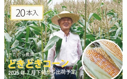 きたむら農園『どきどきコーン』×20本セット(約8〜8.5kg相当)2025年夏出荷分 先行予約開始! 信濃町名産とうもろこし/スイートコーンの新定番品種、申し込み受付中! 令和7年7月下旬〜8月下旬に随時出荷 [長野県信濃町ふるさと納税]