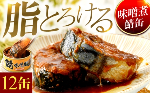 鯖味噌煮缶詰　12缶｜ 着日指定可 サバ缶 鯖缶 さば缶 鯖 サバ さば 缶詰 サバ缶詰 鯖缶詰 缶 詰合せ 詰め合せ セット 非常食 防災 備蓄 常温 常備食 保存食 [BFAB026] 673459 - 福井県小浜市