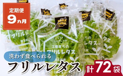 【定期便9ヵ月】 <洗わず食べられる・室内水耕栽培> フリルレタス 8袋(80~110g/袋)×9ヵ月 計72袋 | レタス 野菜 大容量 新鮮レタス オーガニック野菜 無農薬 野菜直送 フレッシュ サラダ用野菜 健康志向 こだわり フレッシュ 産地直送 食品ギフト セット 緑黄色野菜 新鮮 安心野菜 旬 低カロリー レタスボウル カロテン 定期便 スマイル農場 埼玉県 東松山市 1397617 - 埼玉県東松山市