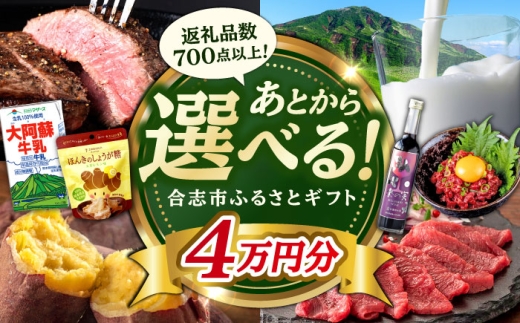 [あとから選べる!]合志市 ふるさとギフト 4万円分 [合志市役所] [AYBZ008]