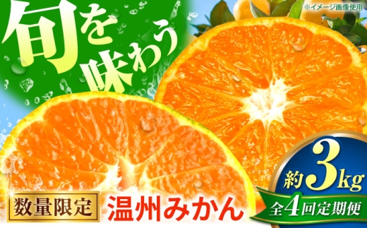 【先行予約】【全4回定期便】 数量限定 温州みかん 3kg 極早生 早生 中生 晩生 みかん 【池田農園】 [ZEX011]