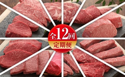 【全12回定期便】【数量限定】【GI認証】くまもとあか牛 食べ比べ / 菊陽町 あかうし 熊本県 肉 にく niku ブランド 旨み 【有限会社 三協畜産】[BHAS032]