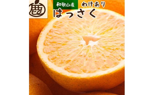 ［先行予約］家庭用 はっさく2.5kg+250g（傷み補償分） 八朔みかん  訳あり わけあり ［IKE28］ 2186267 - 和歌山県和歌山市
