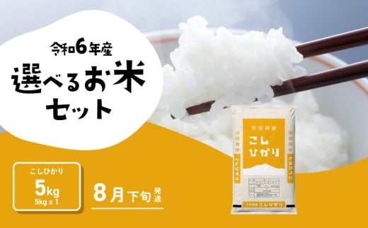 【8月下旬発送】コシヒカリ 5kg 令和6年産 茨城県産 こしひかり 白米 精米 茨城県 お米 米 [SF250yah]