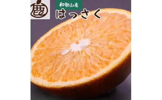 ［先行予約］厳選 はっさく2.5kg+250g（傷み補償分）［八朔みかん］［光センサー選別］［IKE25］ 2186266 - 和歌山県和歌山市