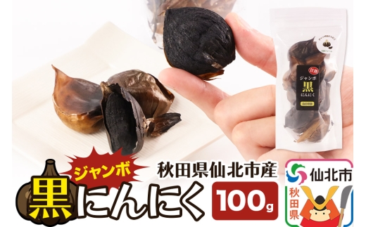 秋田県仙北市産 ジャンボ黒にんにく 100g×1パック＜ゆうパケット＞