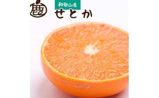 ［先行予約］厳選 せとか5kg+250g（傷み補償分）［柑橘・春みかんの王様］［光センサー選果・食べ頃出荷］ ［IKE119］ 2186268 - 和歌山県和歌山市