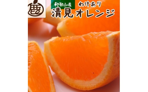 ［先行予約］家庭用 清見オレンジ1kg+250g（傷み補償分）［光センサー食頃出荷］［樹上完熟きよみオレンジ・清見タンゴール・清美］［わけあり・訳あり］［IKE142］ 2186334 - 和歌山県高野町