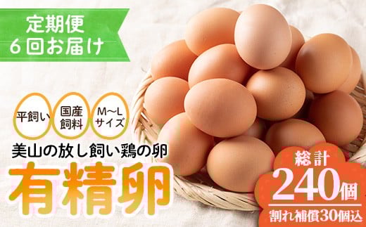 No.781 ＜定期便・全6回(連続)＞鹿児島県産有精卵(40個×6ヶ月連続) 割れ保証付 国産 九州産 鹿児島県産 たまご タマゴ 有精卵 卵 鶏卵 生卵 おかず TKG 卵かけご飯 朝食 定期便 頒布会 数量限定【美山たまご王国】【782】