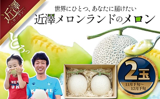 先行予約 メロン 2玉入り(1玉約1.4kg〜1.8kg)青肉 2025年冬発送 期間限定 メロン めろん マスクメロン 舐瓜 果物 くだもの フルーツ デザート 旬 ハウス栽培 常温配送