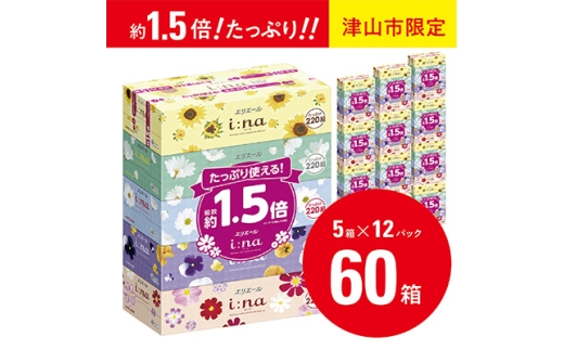＜津山工場限定＞エリエール i:na(イーナ)ティシュー 220組5箱×12パック(60箱)【1515019】 1352644 - 岡山県津山市