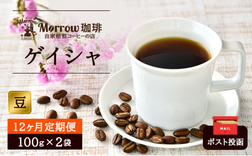 コーヒー豆 定期便 12ヶ月 Morrow珈琲 ゲイシャ 200g (100g×2) レギュラーコーヒー 珈琲 コーヒー 珈琲豆 ドリップコーヒー ドリップ 自家焙煎珈琲 自家焙煎コーヒー 12回 1年 お楽しみ 福岡 福岡県 小郡市 242654 - 福岡県小郡市