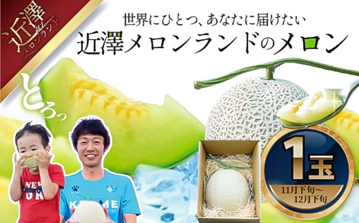 先行予約 メロン 1玉入(約1.4kg〜1.8kg)青肉 2025年冬発送 期間限定 メロン めろん マスクメロン 舐瓜 果物 くだもの フルーツ デザート 旬 ハウス栽培 常温配送