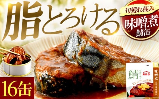 旬獲れ極み鯖味噌煮缶詰　16缶｜ 着日指定可 サバ缶 鯖缶 さば缶 鯖 サバ さば 缶詰 サバ缶詰 鯖缶詰 缶 詰合せ 詰め合せ セット 非常食 防災 備蓄 常温 常備食 保存食 [BFAB002] 687495 - 福井県小浜市