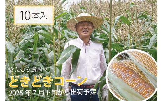 きたむら農園『どきどきコーン』×10本セット(約4〜4.2kg相当)2025年夏分のご予約受付開始! 信濃町名産とうもろこし/スイートコーンの定番品種、予約受付中! 令和7年7月下旬〜8月下旬に随時出荷 先行予約[長野県信濃町ふるさと納税]