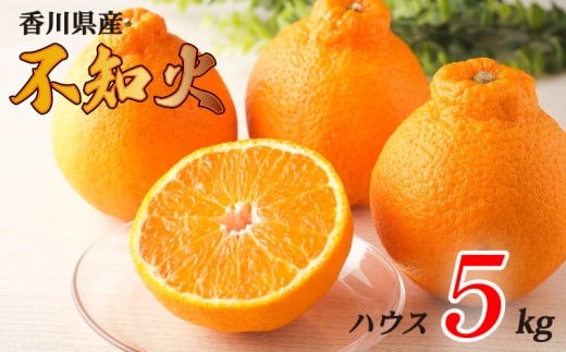 不知火 選べる 約5kg ハウス 常温 先行予約 フルーツ 果物 柑橘 しらぬい みかん ふるさと納税みかん 香川県 丸亀市 2204784 - 香川県丸亀市