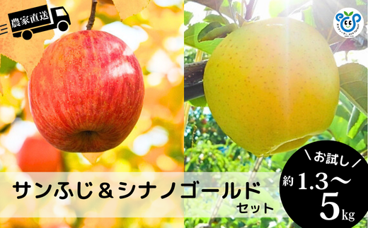 りんごの人気品種「サンふじ」と「シナノゴールド」をセットでお届けします！