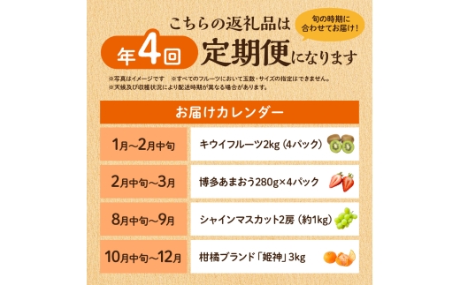 【定期便/年4回】ＪＡむなかた厳選！人気のフルーツ定期便