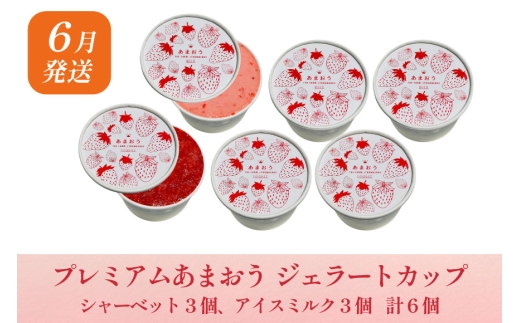 イチ　ブリマコ RPZ24148_cDB_a001_ps.jpg