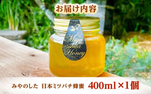 はちみつ ハチミツ 蜂蜜 ハニー ミツバチ 国産 国産蜂蜜 百花蜜 島根県 雲南