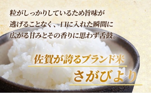 先行予約》《2025年12月発送》 令和7年産 さがびより（精米）10