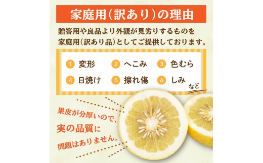 高知県須崎市のふるさと納税 【2026年2月上旬から発送】 訳あり 文旦 高知 10kg  L ～ 4L サイズ 混合 浦ノ内特産 早期予約 予約受付中 期間限定 季節限定 限定 旬 みかん ミカン ぶんたん 高知県 土佐文旦 柑橘 家庭用 KN003-xx